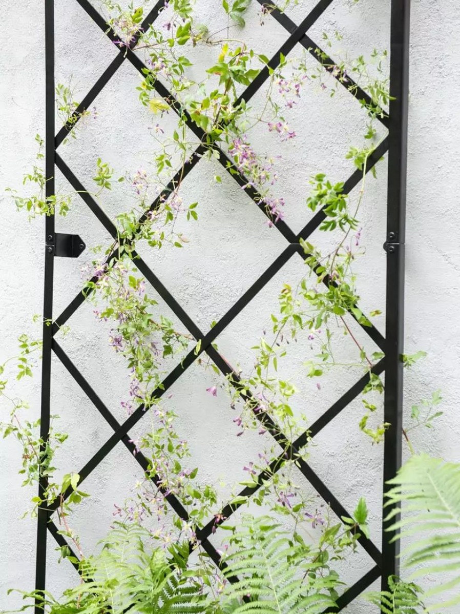 Plant Supports * | Gsc Lattice Gable Wall Trellis