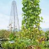 Plant Supports * | Gsc Garden Maypole Plant Support