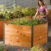 Planters & Raised Beds * | Gsc Elevated Raised Bed, 4 X 4