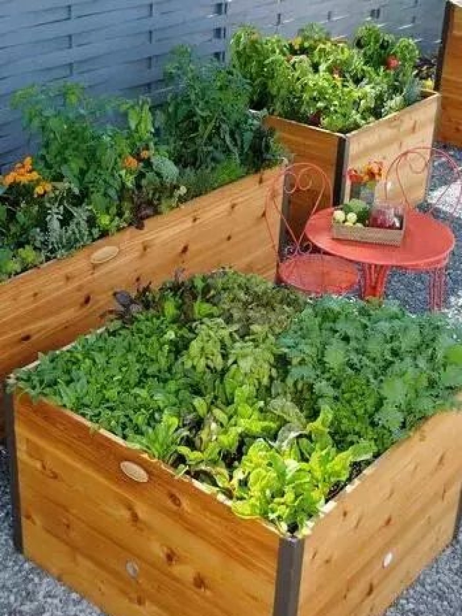 Planters & Raised Beds * | Gsc Elevated Raised Bed, 4 X 4