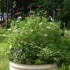 Planters & Raised Beds * | Gsc Birdies Round Metal Raised Bed