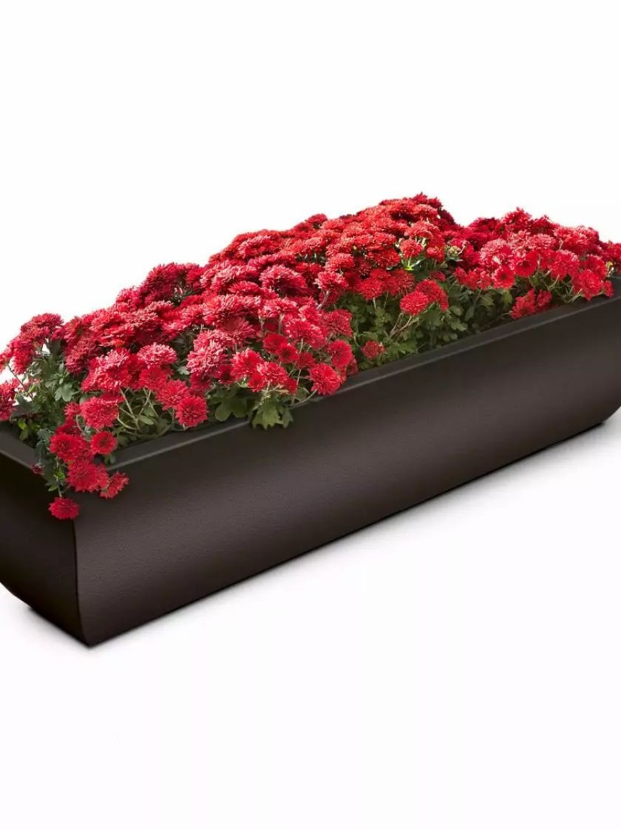 Planters & Raised Beds * | Gsc Valencia Window Box, 4