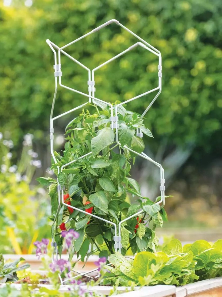 Plant Supports * | Gsc Gardener'S Vertex Lifetime Pepper And Eggplant Cage Natural Aluminum