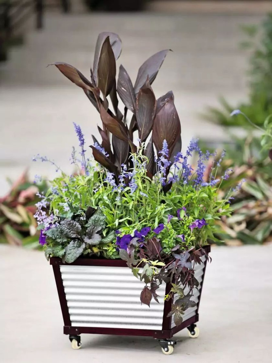 Planters & Raised Beds * | Gsc Galvanized Self-Watering Planters