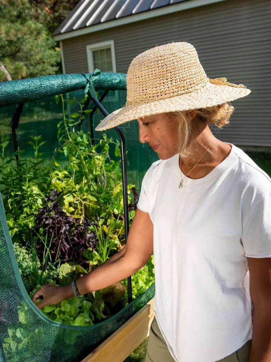 Planters & Raised Beds * | Gsc Compact Vegtrug Shade Cover