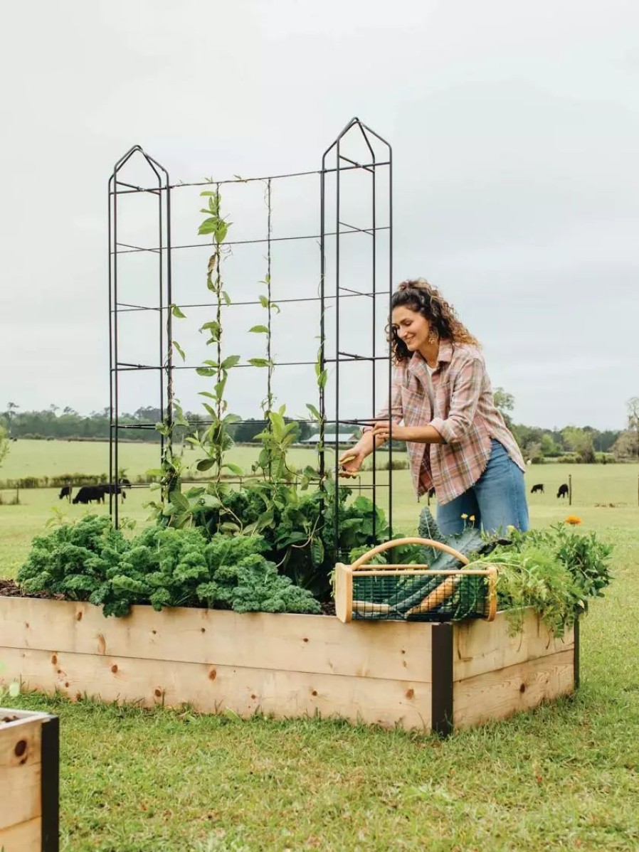 Plant Supports * | Gsc Zenith Trellis