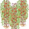 Plant Supports * | Gsc Tomato Ladders, Set Of 3