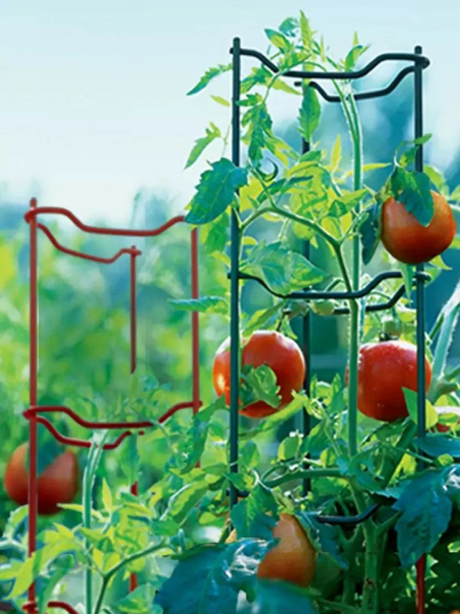 Plant Supports * | Gsc Tomato Ladders, Set Of 3