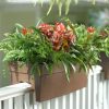 Planters & Raised Beds * | Gsc Self-Watering Railing Planter