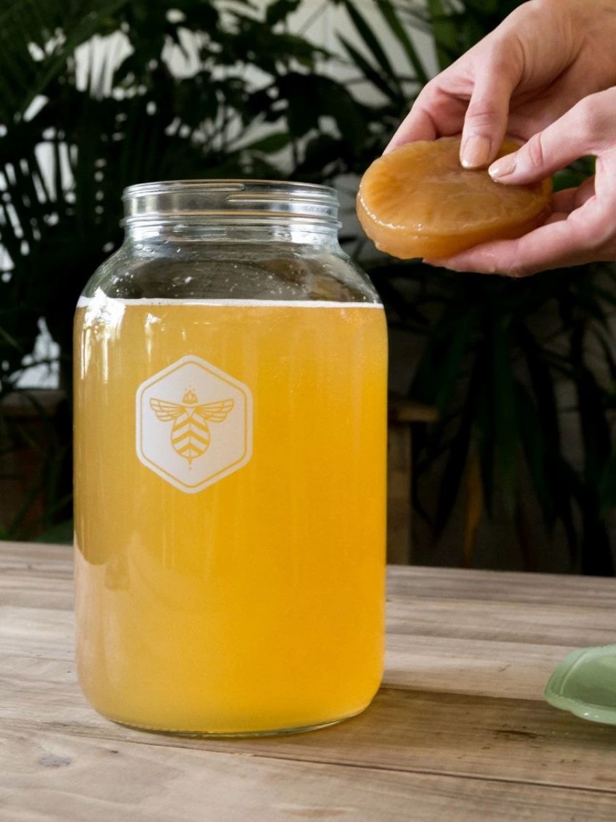 Home & Kitchen * | Gsc Kombucha Making Kit