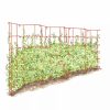 Plant Supports * | Gsc Expandable Pea Trellis