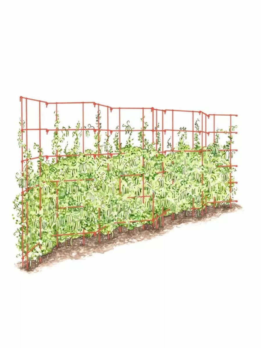 Plant Supports * | Gsc Expandable Pea Trellis