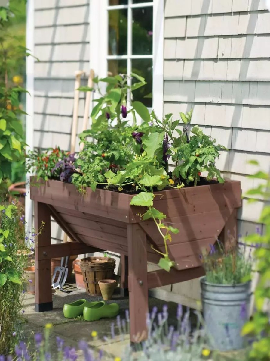 Planters & Raised Beds * | Gsc Compact Vegtrug Patio Garden