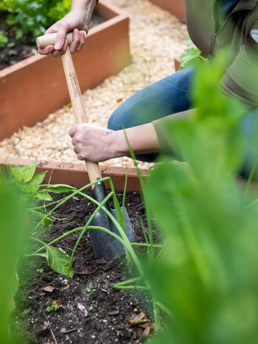 Garden Tools * | Gsc Gardener'S Lifetime Perennial Spade With Short T-Handle