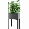 Plant Supports * | Gsc City Jungle Heidelberg Tomato Trellis