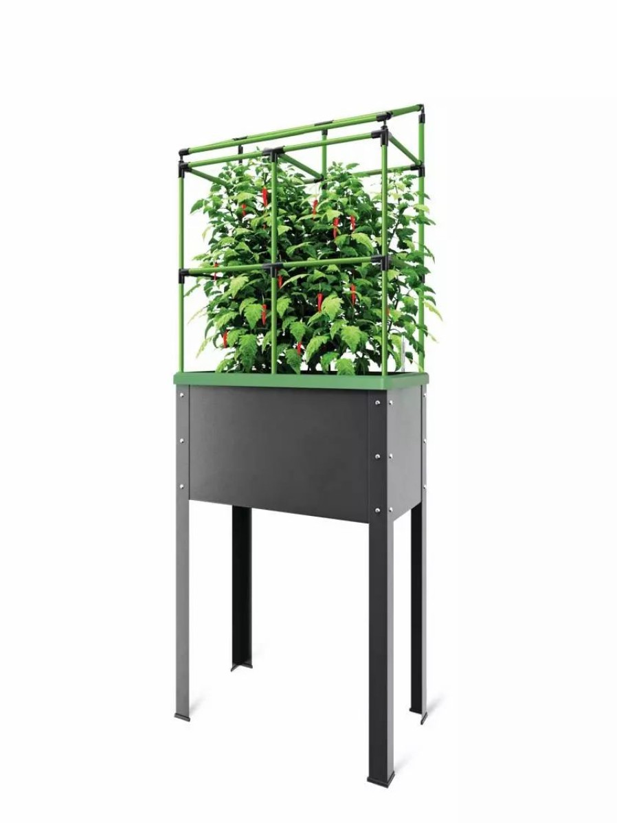 Plant Supports * | Gsc City Jungle Heidelberg Tomato Trellis