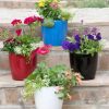 Planters & Raised Beds * | Gsc Viva Round Self-Watering Planter, 7 Diameter