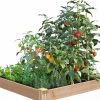 Planters & Raised Beds * | Prp Cedar Raised Garden Bed, 4 X 4 X 6