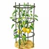 Plant Supports * | Gsc Titan Pepper Eggplant Cages, Set Of 3