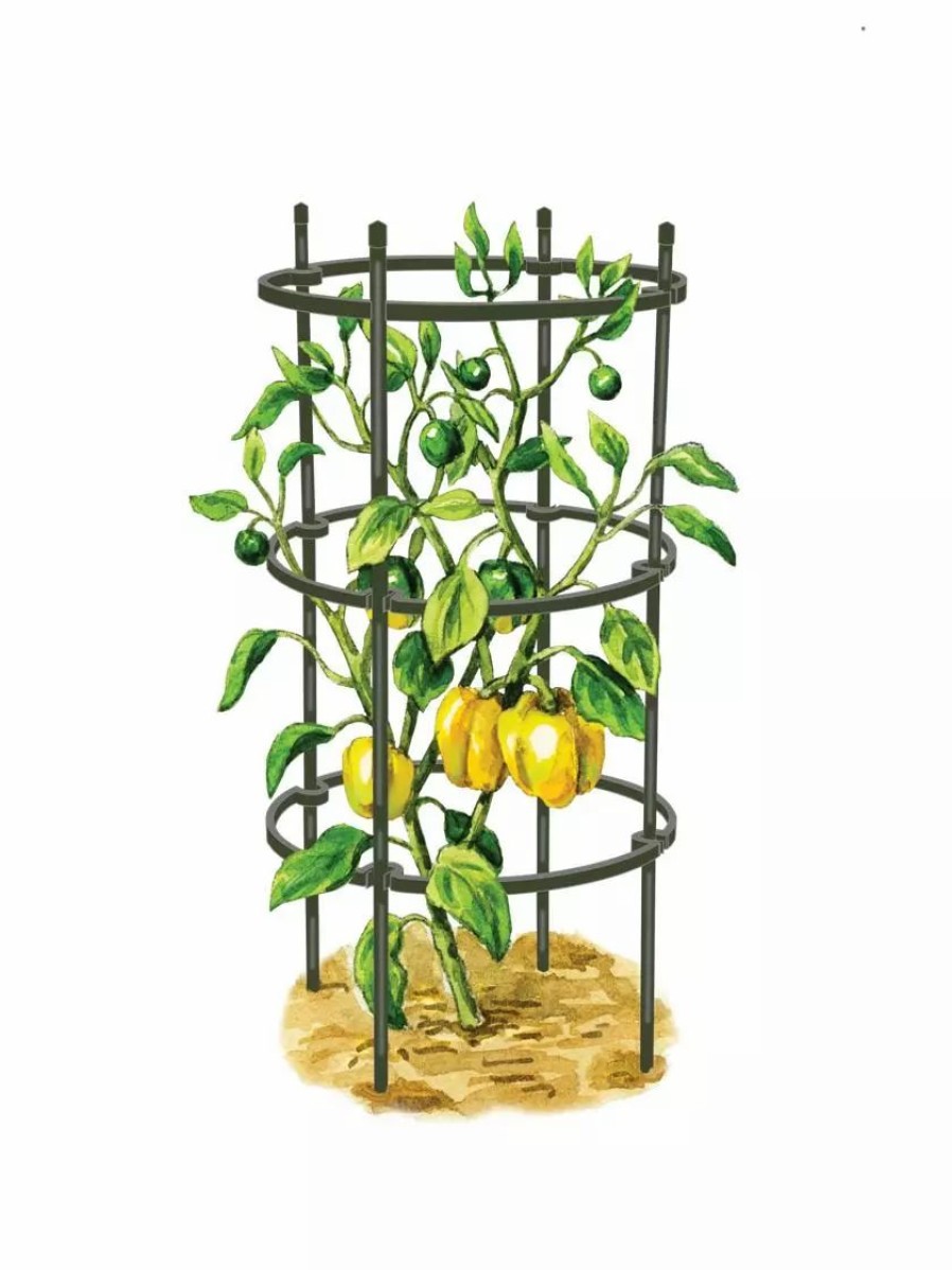 Plant Supports * | Gsc Titan Pepper Eggplant Cages, Set Of 3