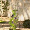 Plant Supports * | Gsc Jardin Pot Trellis