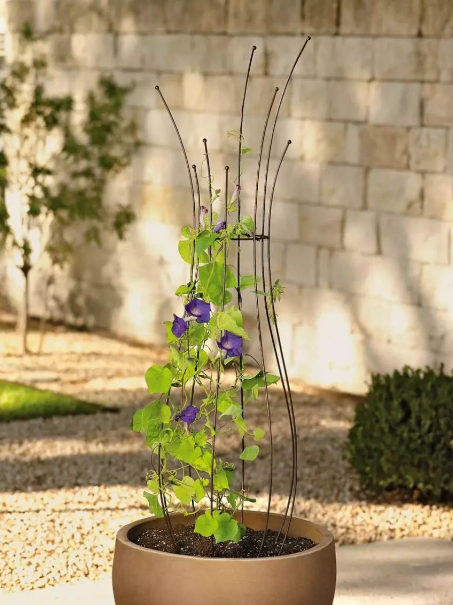 Plant Supports * | Gsc Jardin Pot Trellis