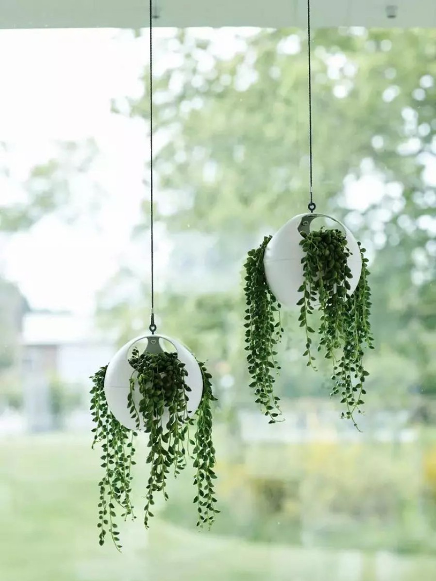 Planters & Raised Beds * | Gsc Exaco Euro Hanging Planters, Set Of 2