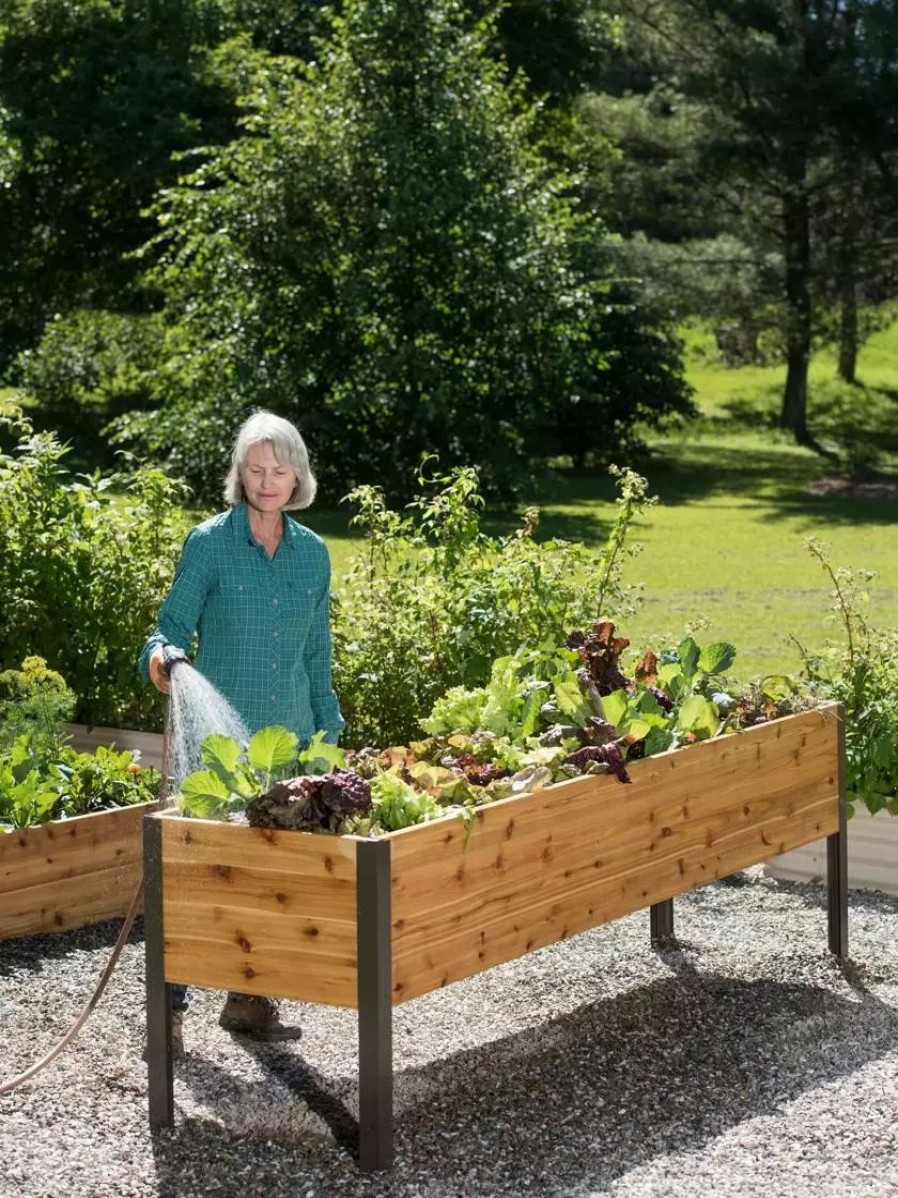 Planters & Raised Beds * | Gsc Elevated Planter Box, 2 X 8