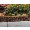 Planters & Raised Beds * | Gsc Wine Barrel Succulent Planter