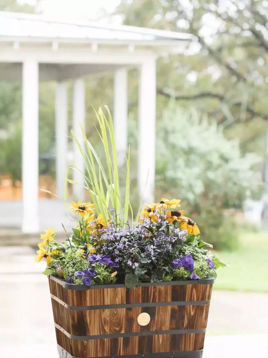 Planters & Raised Beds * | Gsc Vegtrug Trough Planters