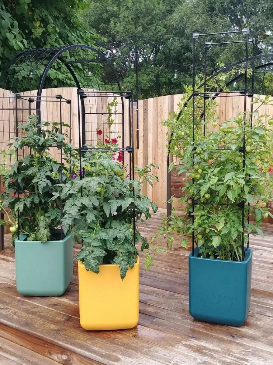 Planters & Raised Beds * | Gsc Oasis Self-Watering Tomato Planter With Trellis