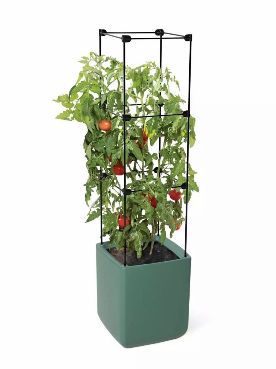 Planters & Raised Beds * | Gsc Oasis Self-Watering Tomato Planter With Trellis