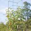 Plant Supports * | Gsc Mammoth Tomato Towers, Set Of 2 Green