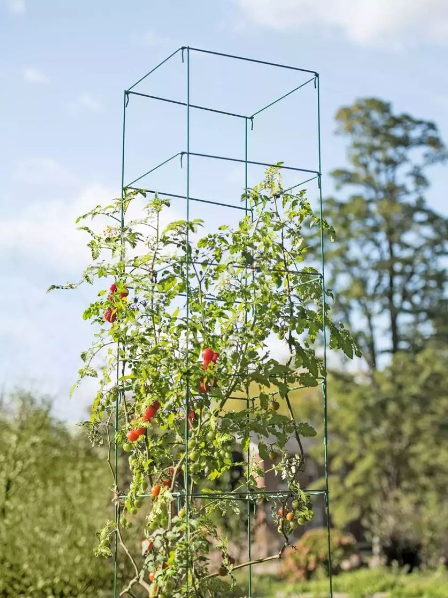 Plant Supports * | Gsc Mammoth Tomato Towers, Set Of 2 Green