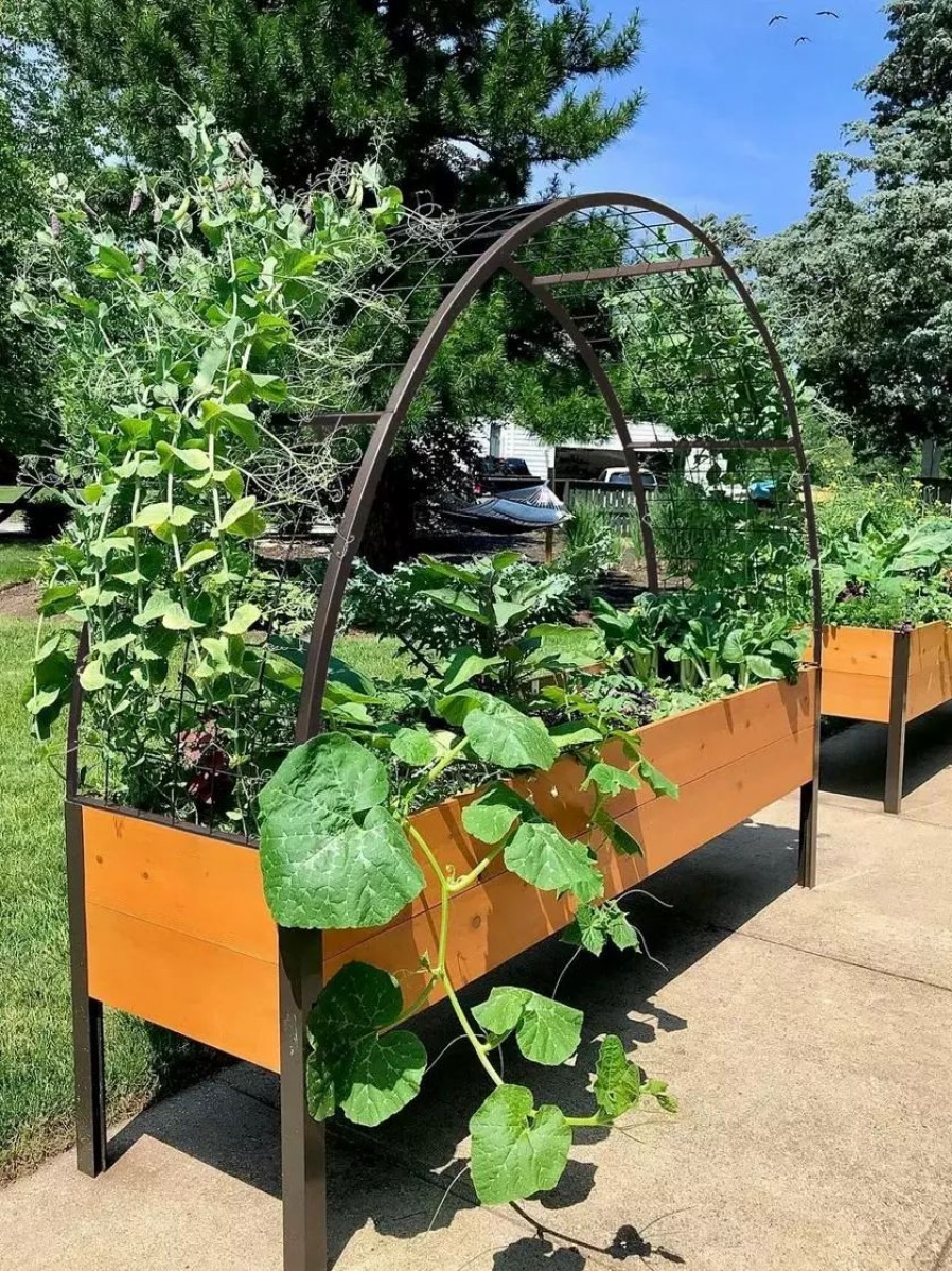 Planters & Raised Beds * | Gsc 2' X 8' Arch Trellis For Planter Boxes