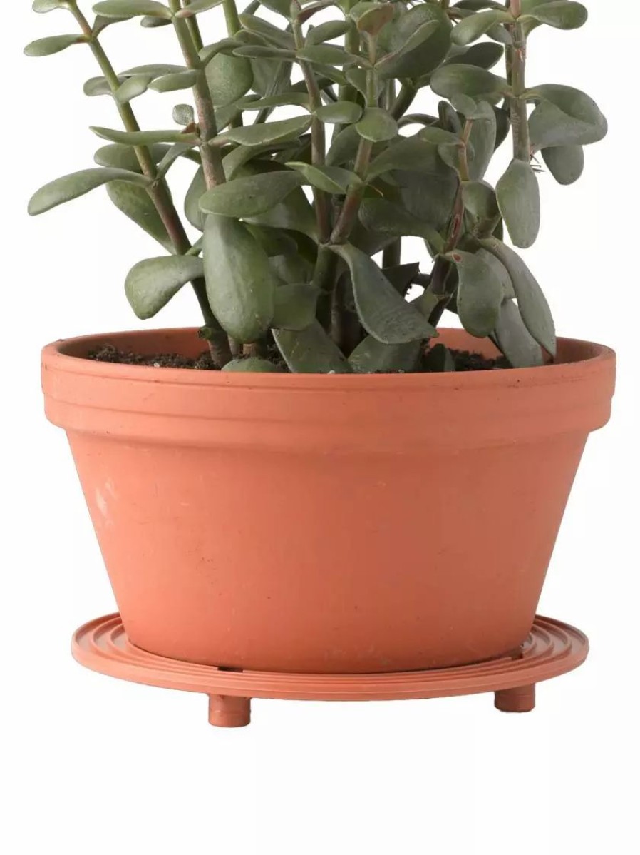 Planters & Raised Beds * | Gsc 5 Surfacesaver , Set Of 2