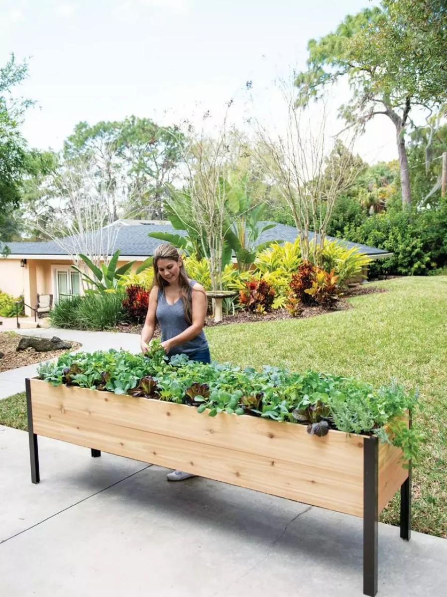 Planters & Raised Beds * | Gsc Self-Watering Elevated Planter Box, 2 X 8