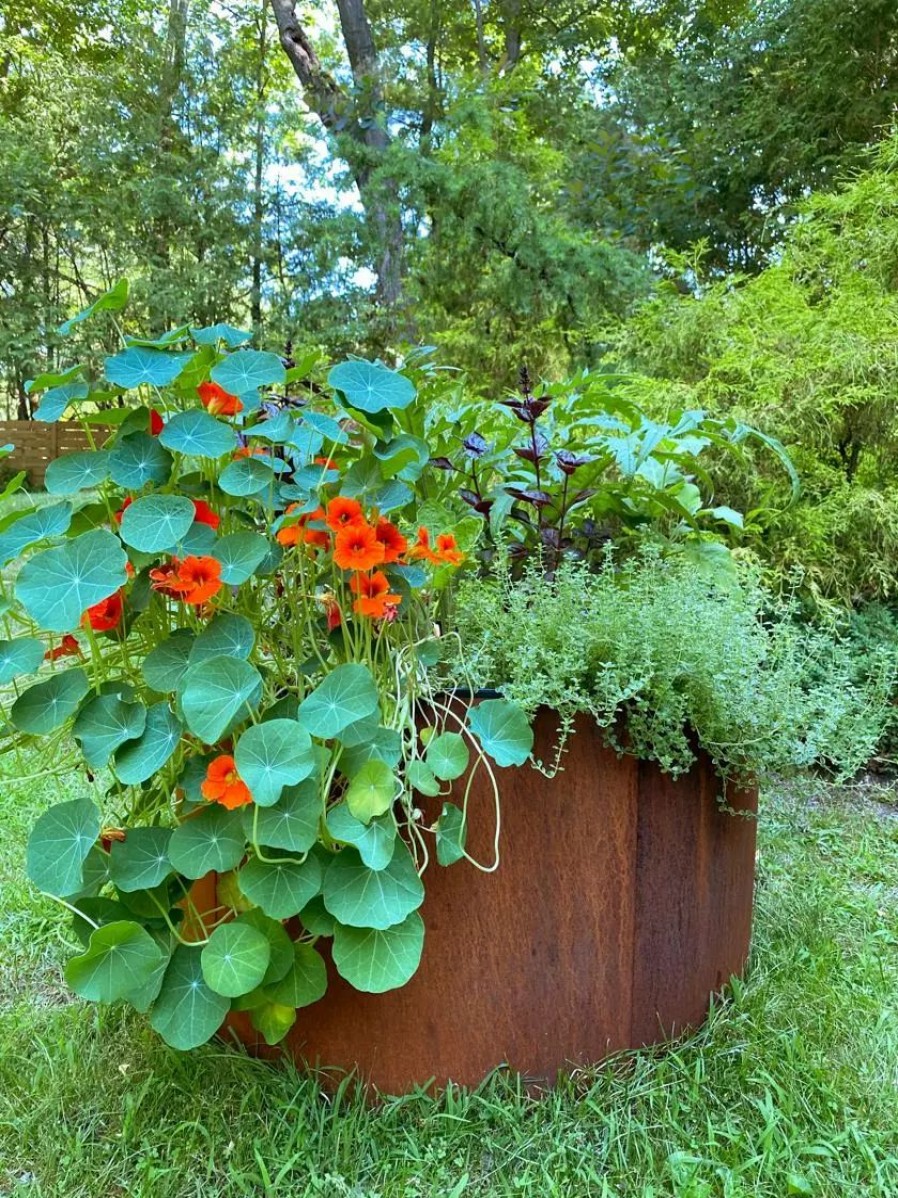 Planters & Raised Beds * | Gsc Birdies Corten Steel Round Raised Beds