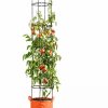 Planters & Raised Beds * | Gsc Gardener'S Best Tomato Grow Bag Set