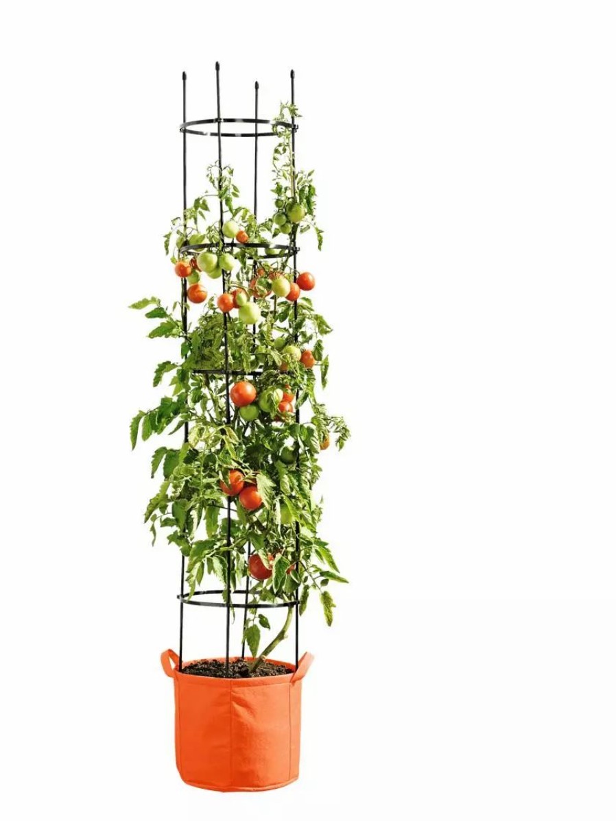 Planters & Raised Beds * | Gsc Gardener'S Best Tomato Grow Bag Set