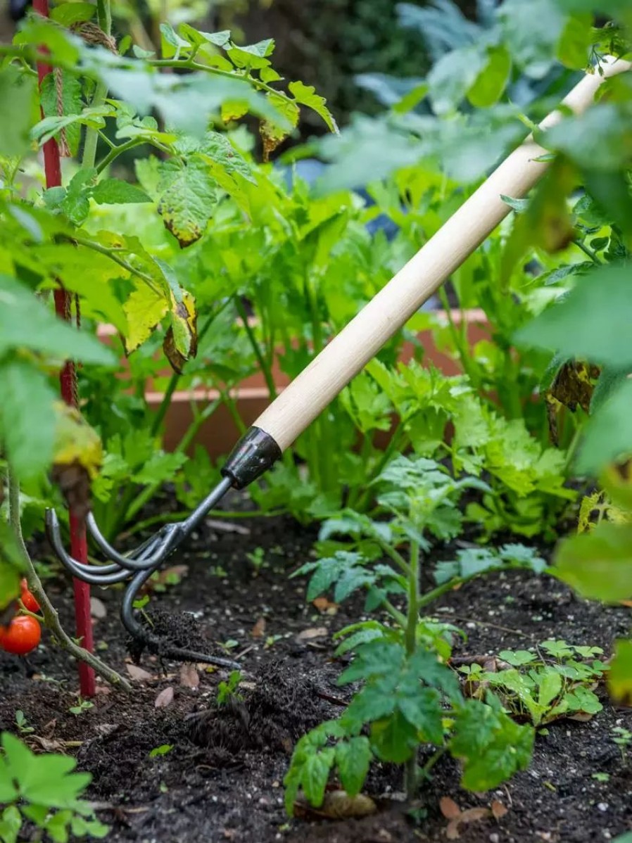 Garden Tools * | Gsc Gardener'S Lifetime Long-Handled Double Tool