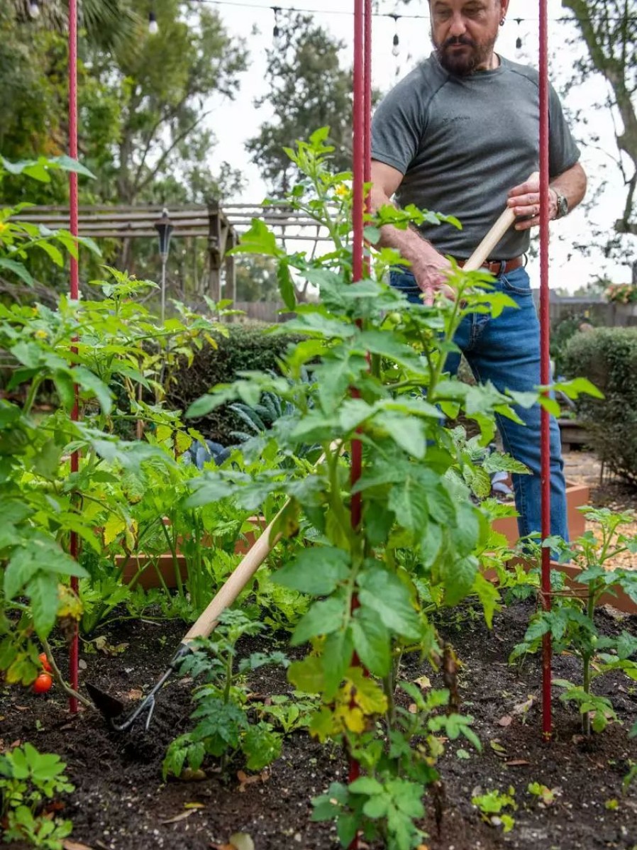 Garden Tools * | Gsc Gardener'S Lifetime Long-Handled Double Tool