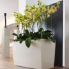 Planters & Raised Beds * | Prp Lechuza Cararo Rectangular Indoor Planter With Casters