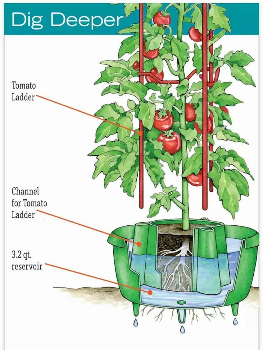 Plant Supports * | Gsc Tomato Halos, Set Of 3