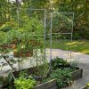 Plant Supports * | Gsc Chicken Wire Pea Trellis