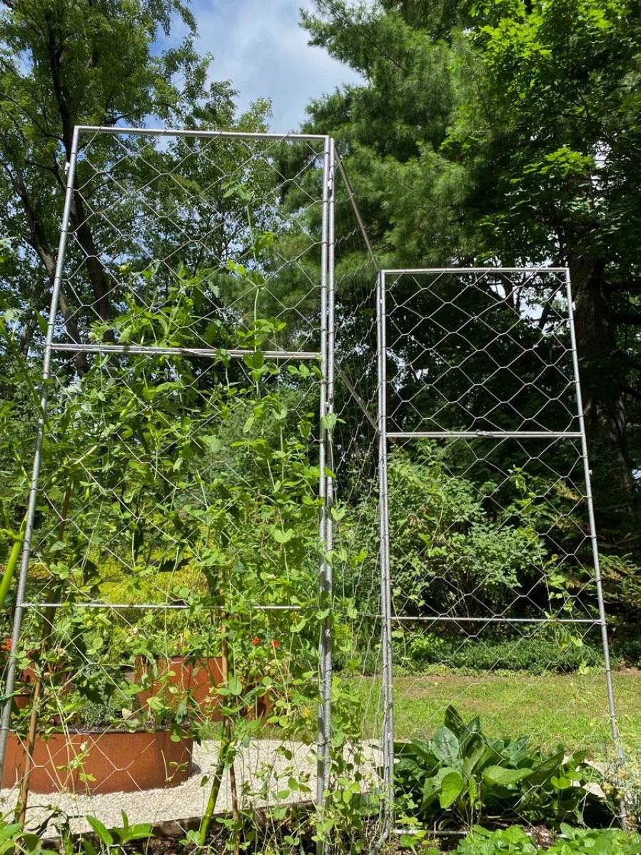 Plant Supports * | Gsc Chicken Wire Pea Trellis