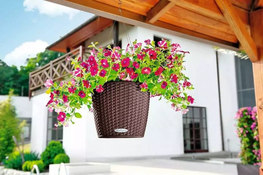 Planters & Raised Beds * | Prp Lechuza Nido Cottage Wicker Hanging Planter