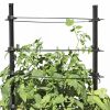 Planters & Raised Beds * | Gsc Gardener'S Revolution Classic Tomato Extension