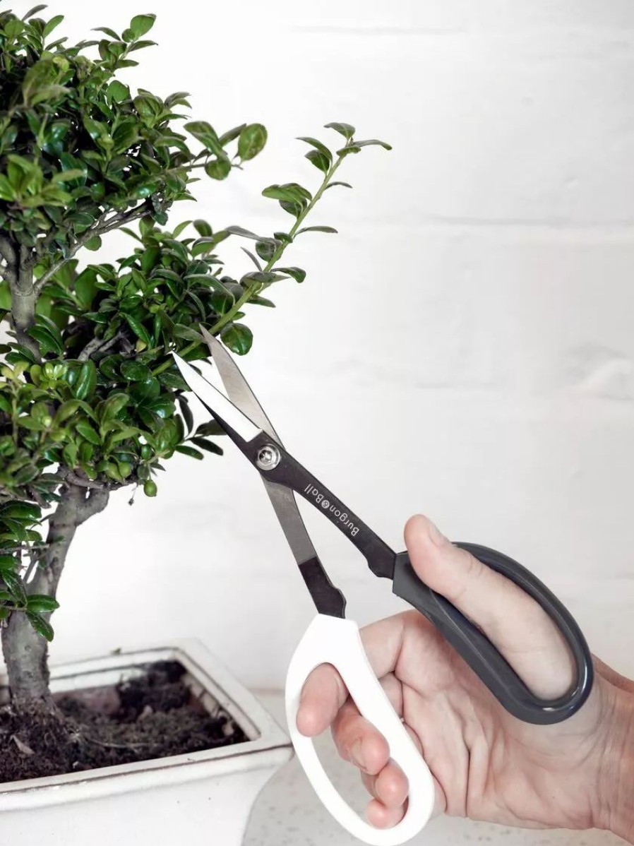 Garden Tools * | Gsc Japanese Pruning Scisssors