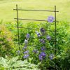 Plant Supports * | Gsc Jardin Ladder Trellis